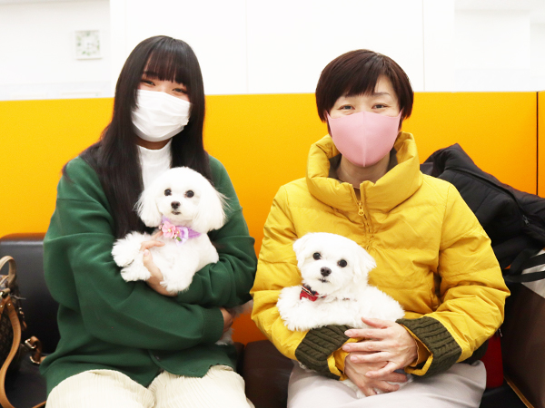 モデル犬の新しい家族が決まりました！PART②